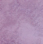 Ottocento polished plaster