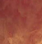 Madrepalato polished plaster